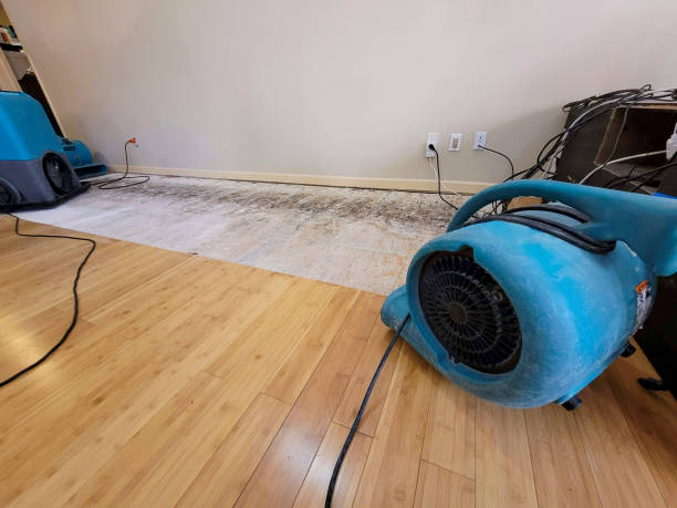 Professional Flood Damage Cleanup technician working in Slater, IA